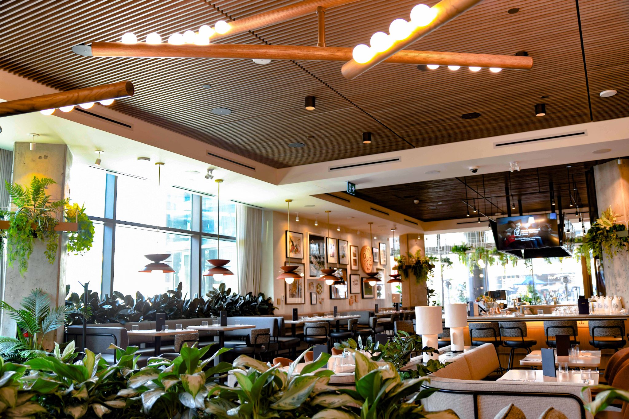 Vibrant Lighting at Earls Kitchen + Bar - MP Lighting